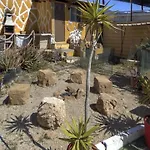 Casas Cueva Alfer Nyaraló Fasnia