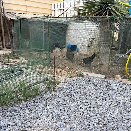 Casas Cueva Alfer Fasnia